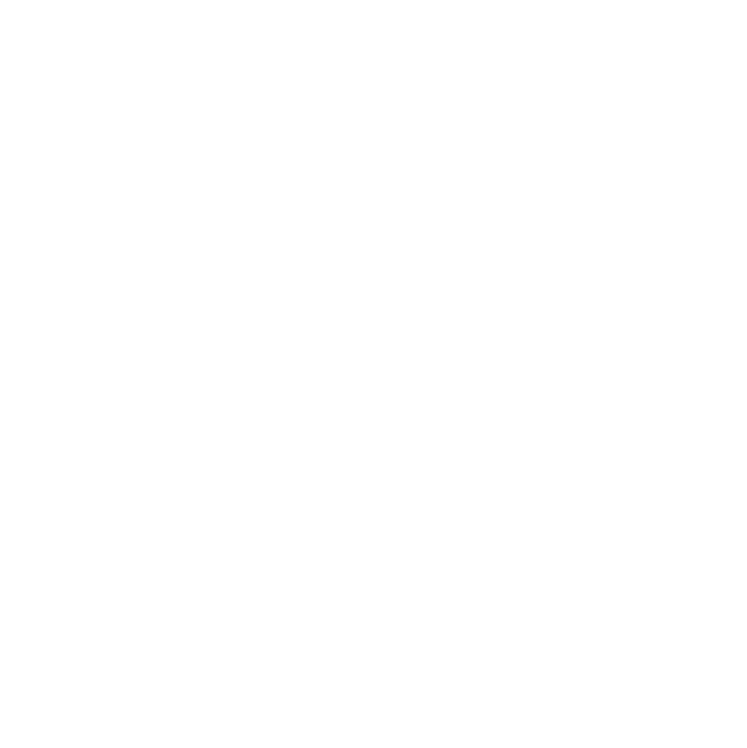 homecoming 2025 logo in white